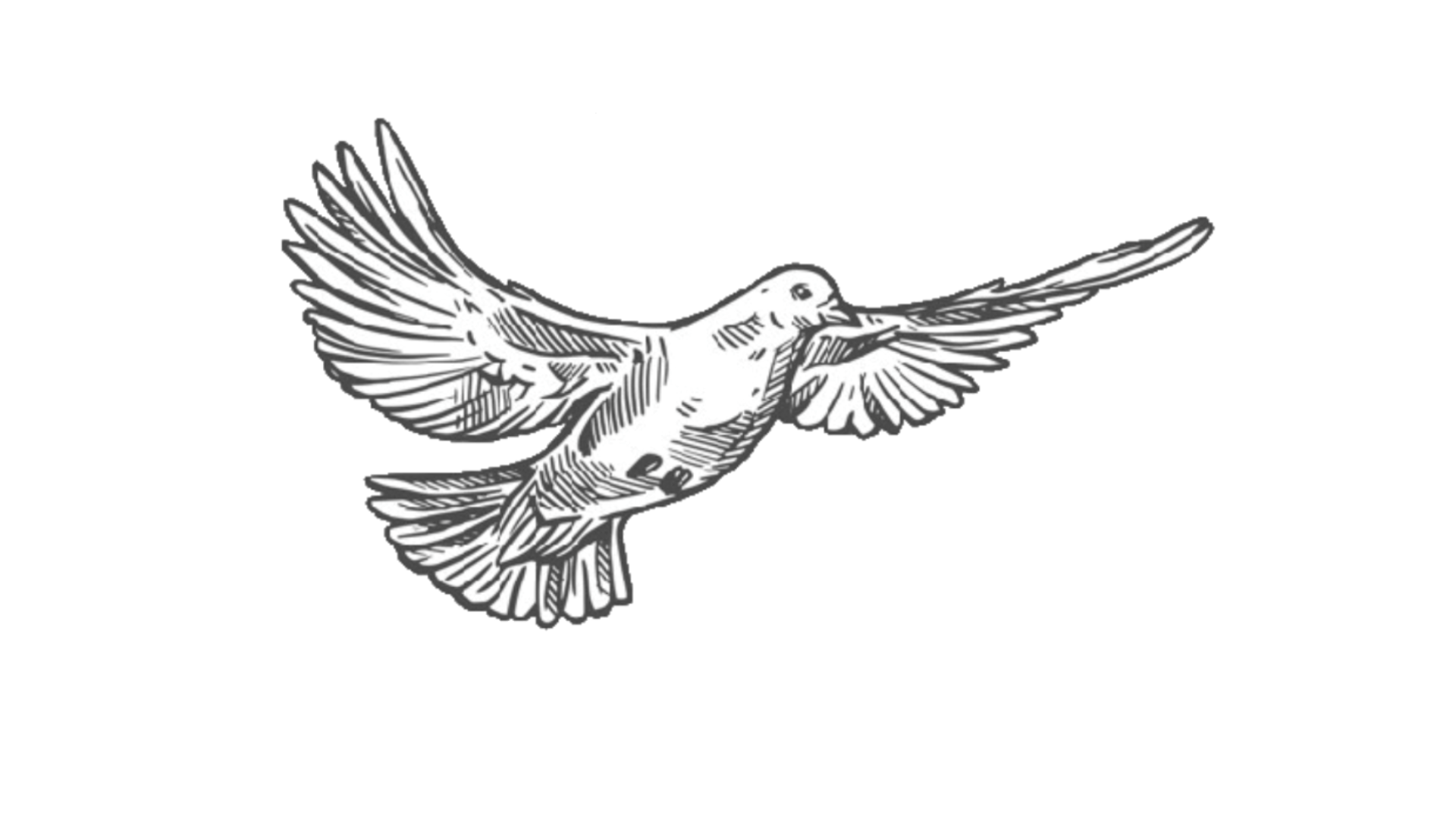 Control The Vibe   logo